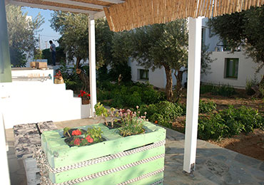Flowerbed at Edem hotel in Sifnos