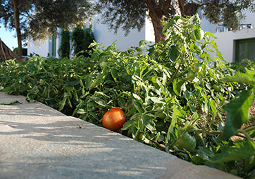 Giardino dell'hotel Edem a Sifnos